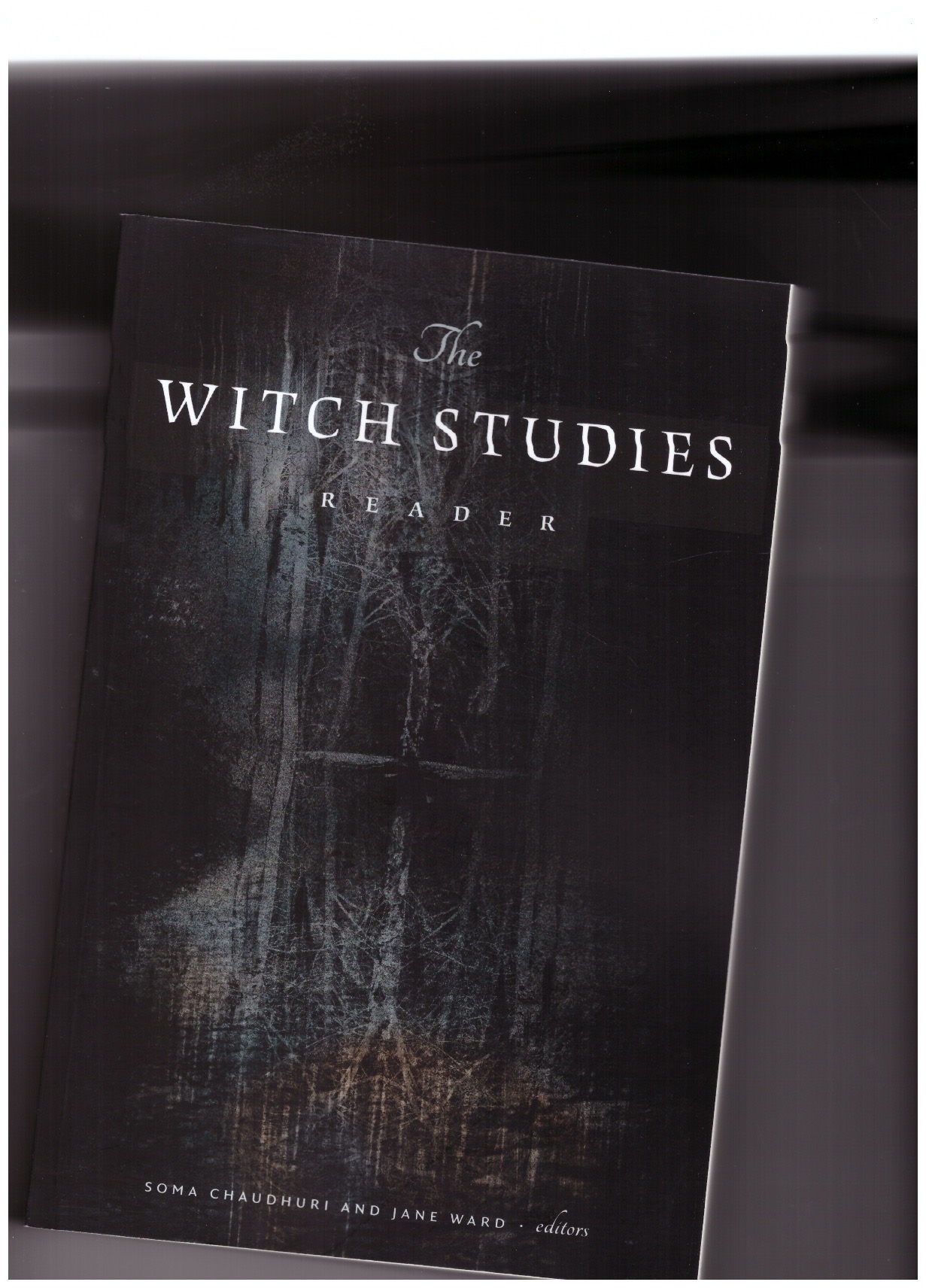 CHAUDHURI, Soma; WARD, Jane (eds) - The Witch Studies Reader
